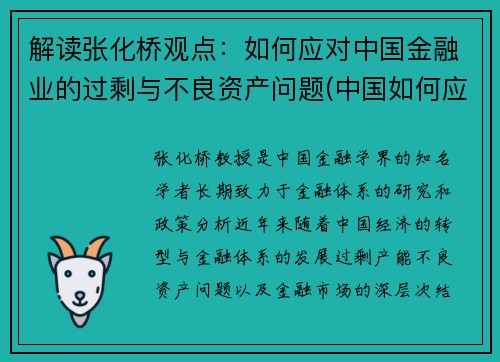 解读张化桥观点：如何应对中国金融业的过剩与不良资产问题(中国如何应对金融战)